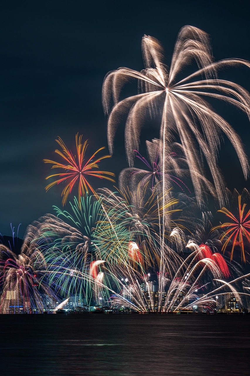 fireworks, fireworks display, lake, lake biwa, event, palm tree, nature, japan, phone wallpaper, aesthetic wallpaper